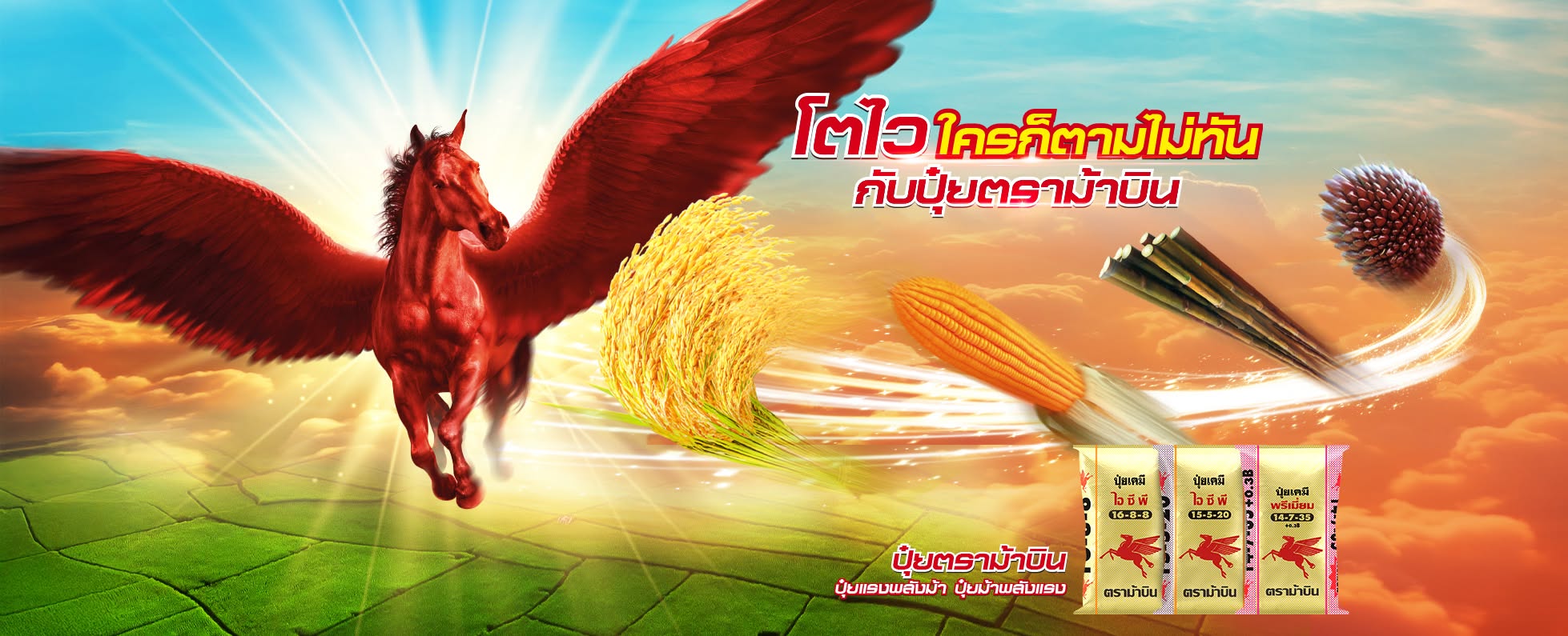 โตไวใครก็ตามไม่ทันกับปุ๋ยม้าบิน